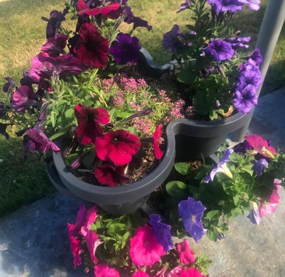 فندق Newlands Bed And Breakfast