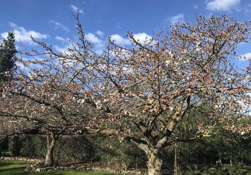 فندق Newlands Bed And Breakfast