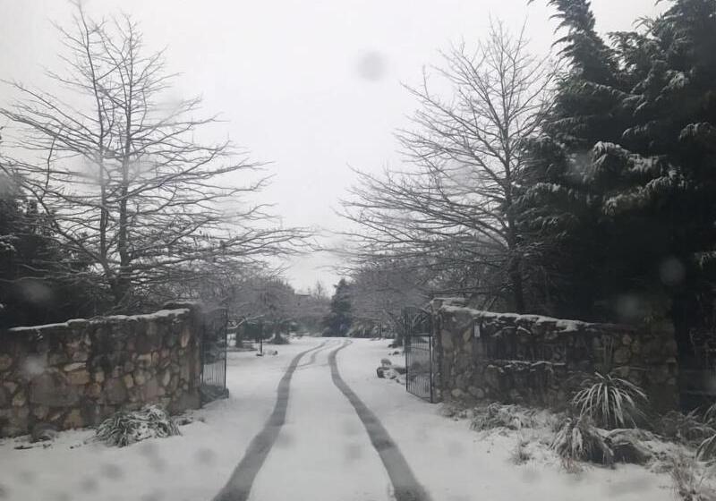 فندق Newlands Bed And Breakfast