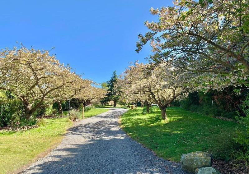 فندق Newlands Bed And Breakfast