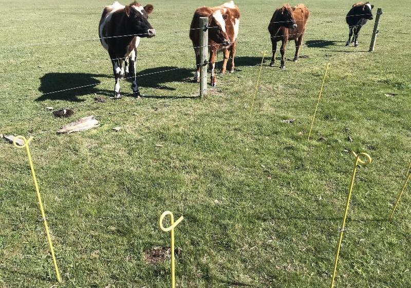 فندق Newlands Bed And Breakfast