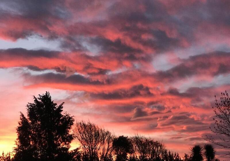 فندق Newlands Bed And Breakfast