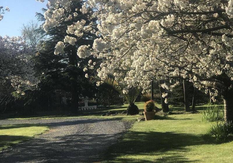 فندق Newlands Bed And Breakfast