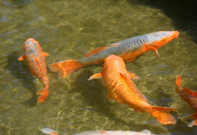 Ooedo Onsen Monogatari Hotel Shinko
