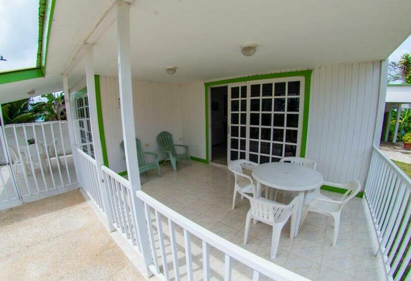 Отель Posada Caribbean Refuge