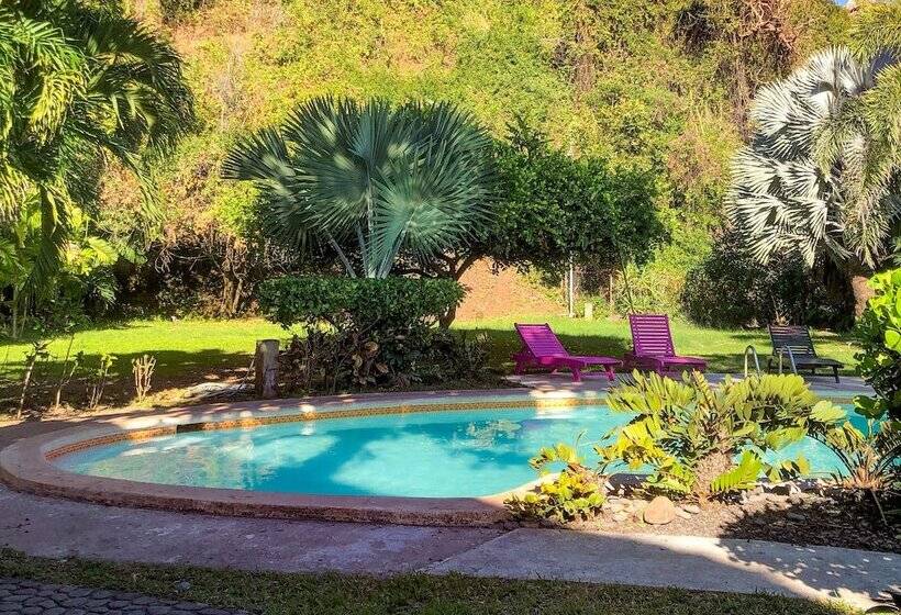 ホテル Punta Mango Surf & Beachfront Resort