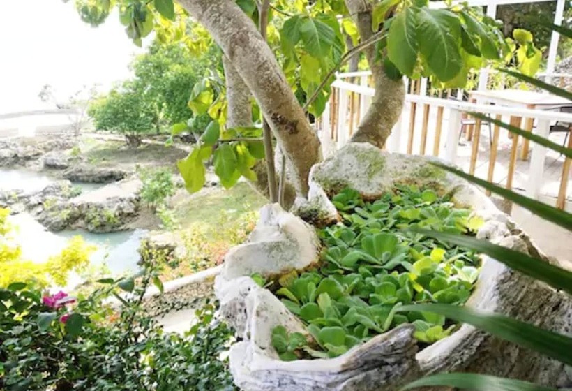 هتل Tanna Evergreen Resort & Tours