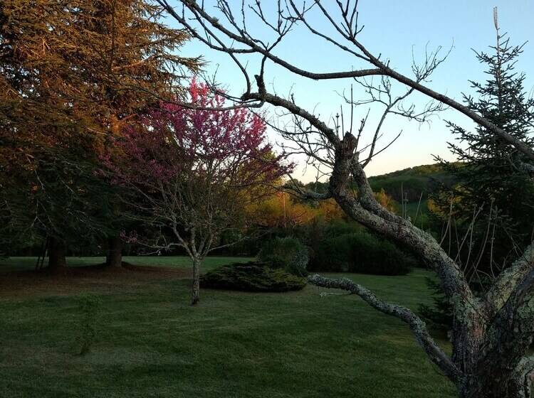 بنسيون La Lezardière