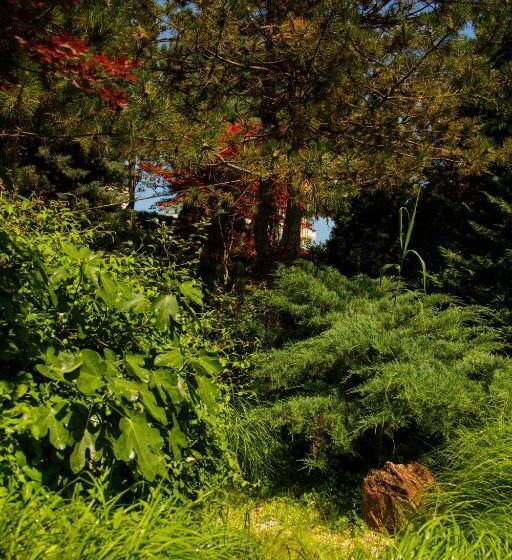 호텔 New Egreta Resort