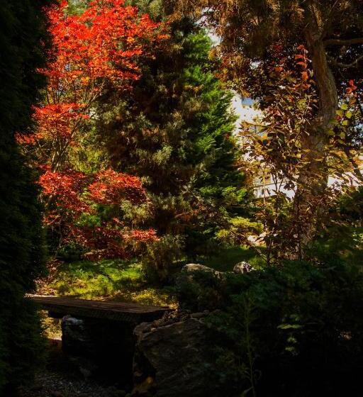 호텔 New Egreta Resort