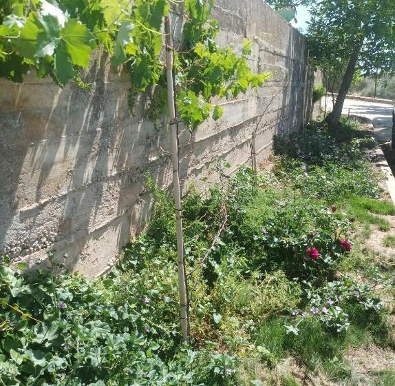 Apartamentos Rurales Rad Icarium