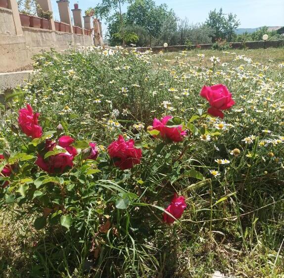 Apartamentos Rurales Rad Icarium
