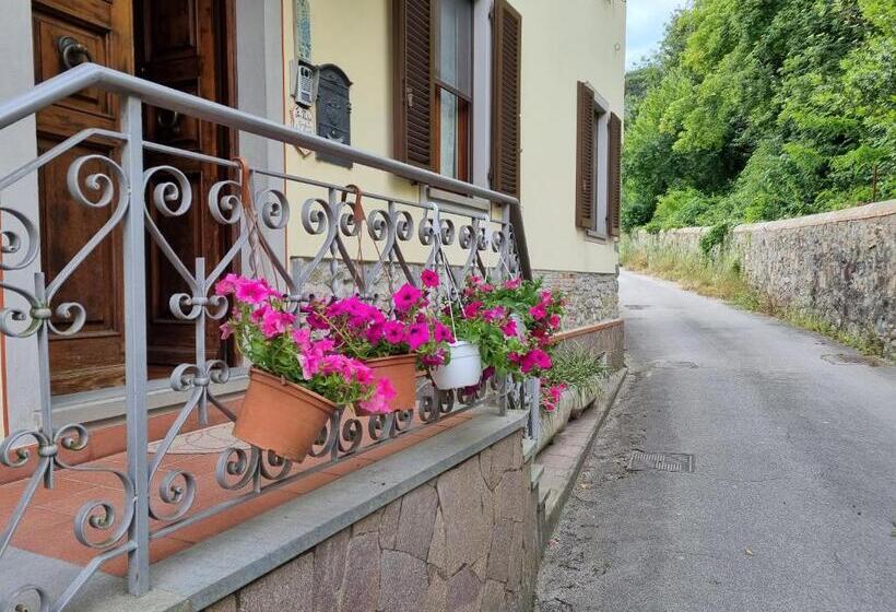 تختخواب و صبحانه A Collodi Io & Mamma