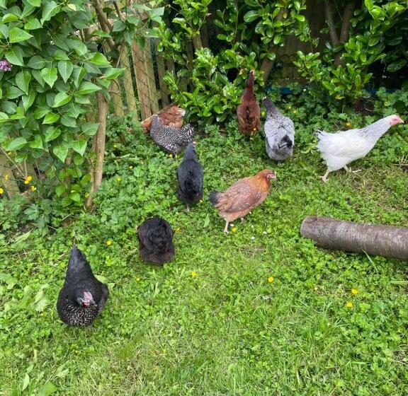 مبيت وإفطار Burleigh House B And B