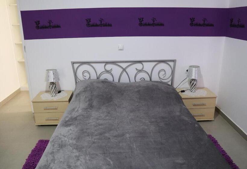 مبيت وإفطار Lafayette Alojamentos