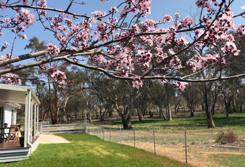 مبيت وإفطار Rosewood Cottage