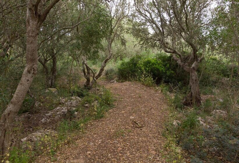 فندق Agroturismo Malbuger Nou Menorca  Adults Only