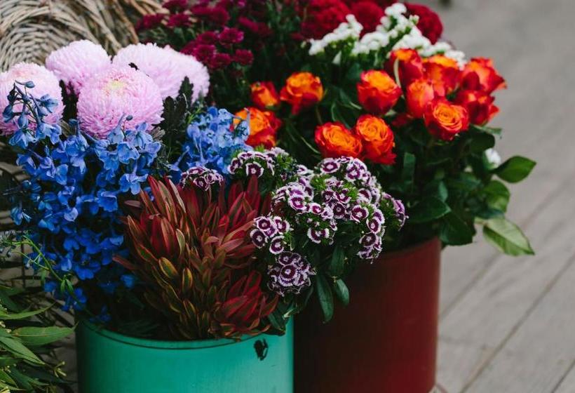 בית מלון כפרי Angel Sussurri