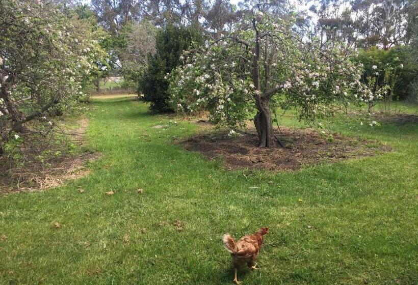 בית מלון כפרי Bush Retreat Farm Stay 2 Br Guest Suite