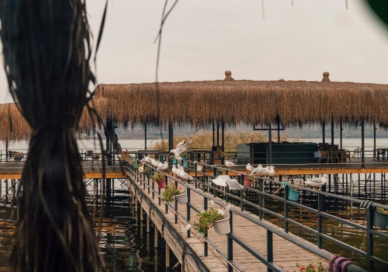 酒店 Gölevi Resort Sapanca