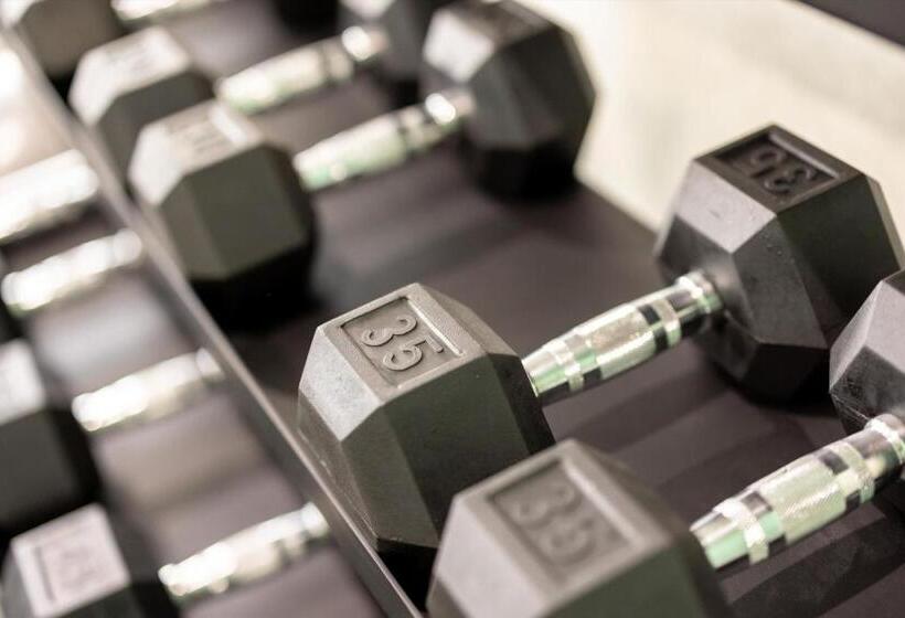 فندق Holiday Inn Express & Suites   San Jose Silicon Valley, An Ihg