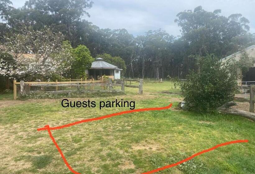 בית מלון כפרי Ionaforest Yurt