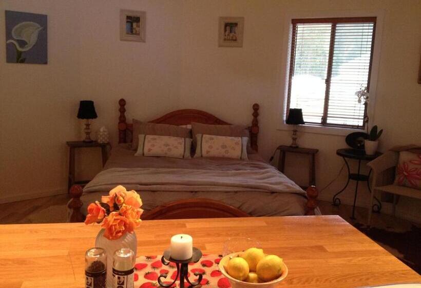 בית מלון כפרי Ionaforest Yurt