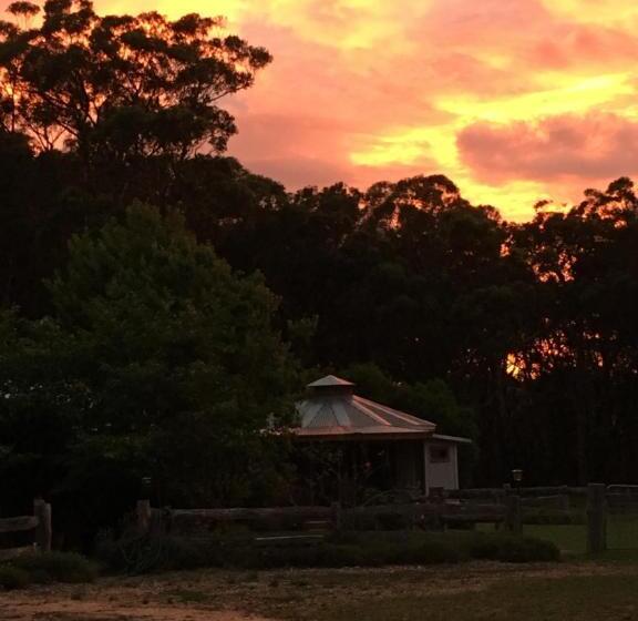 בית מלון כפרי Ionaforest Yurt