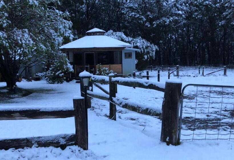 בית מלון כפרי Ionaforest Yurt