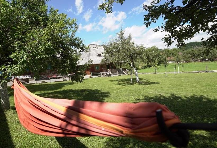 酒店 Iz De Maramures Rural