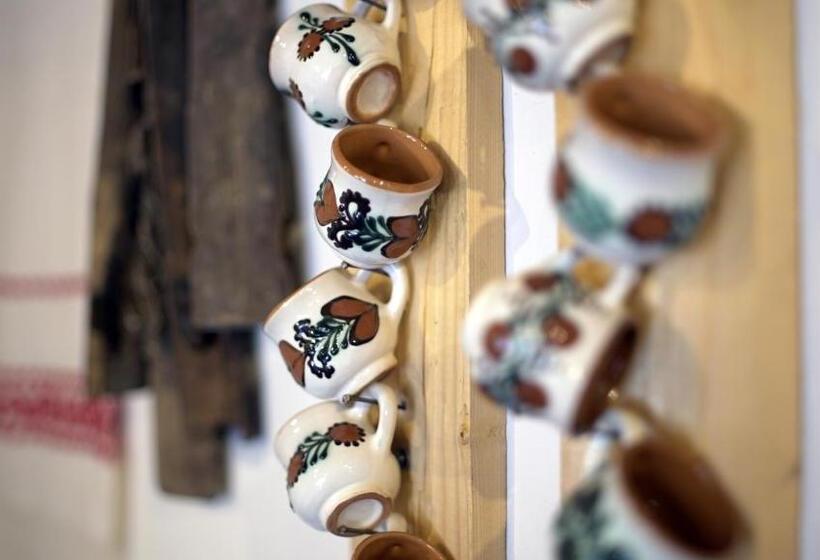 酒店 Iz De Maramures Rural