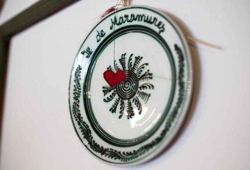 酒店 Iz De Maramures Rural