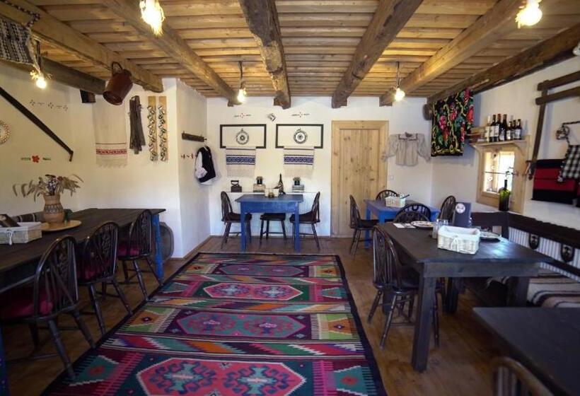 酒店 Iz De Maramures Rural