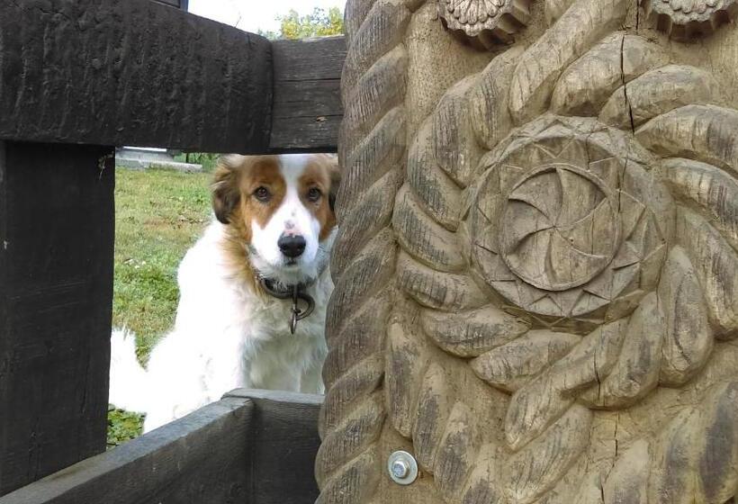 酒店 Iz De Maramures Rural