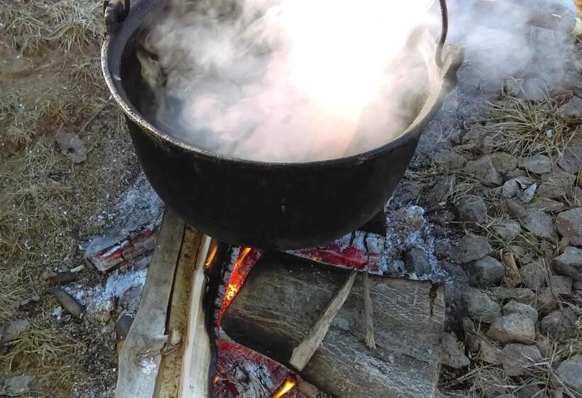 酒店 Iz De Maramures Rural