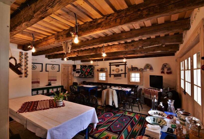 酒店 Iz De Maramures Rural