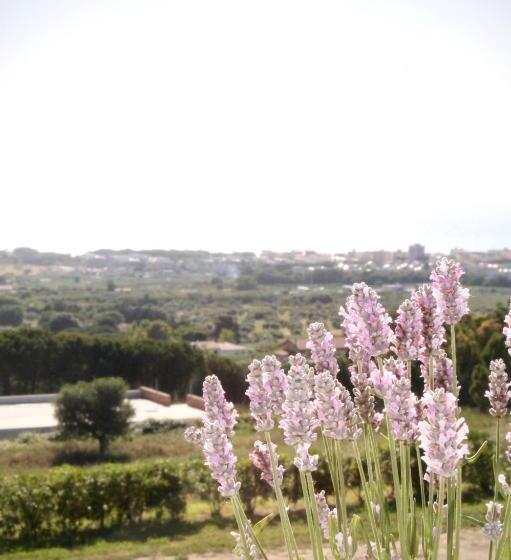 בית מלון כפרי Agriturismo Suite Del Conte