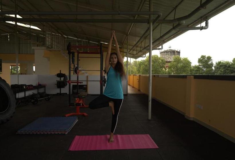 בית מלון כפרי Niasha Youth Hostel