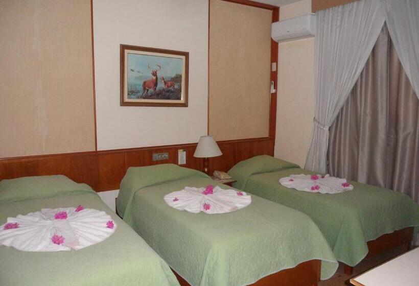 Отель Thermas Lagoa Santa