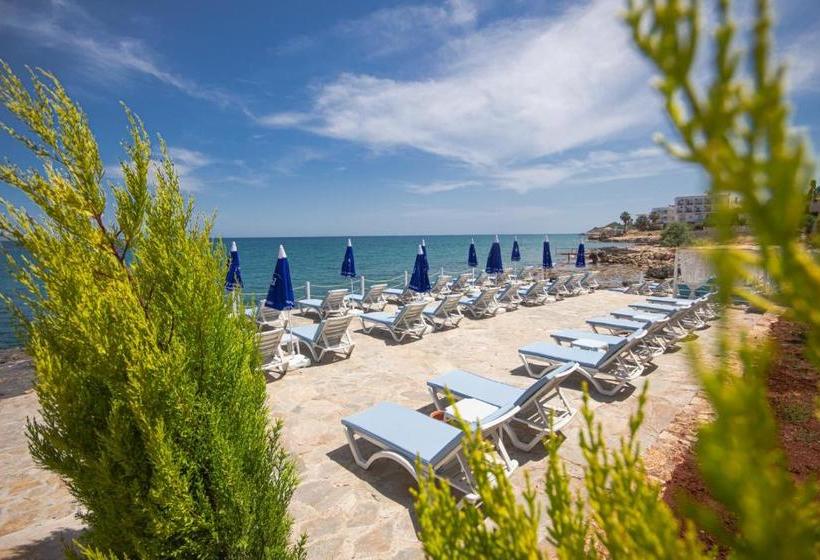 Mojo Otel Beach