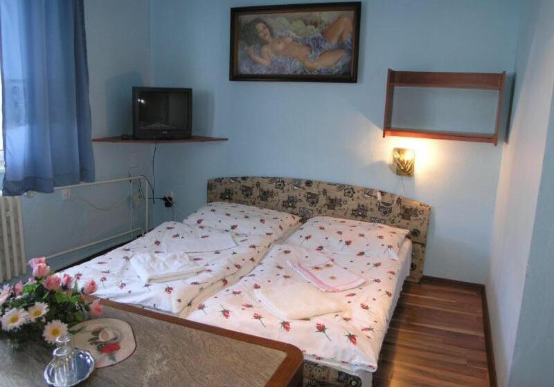 بنسيون Biela Labuť