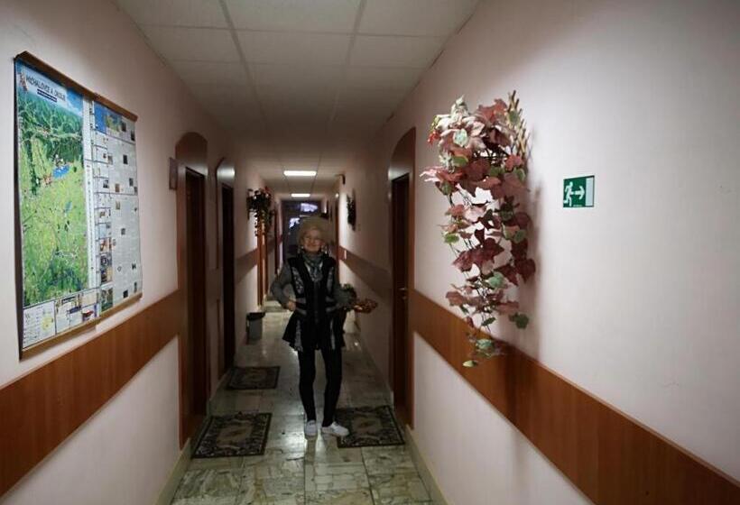 بنسيون Biela Labuť