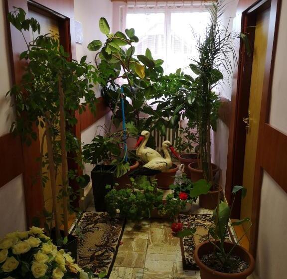 بنسيون Biela Labuť