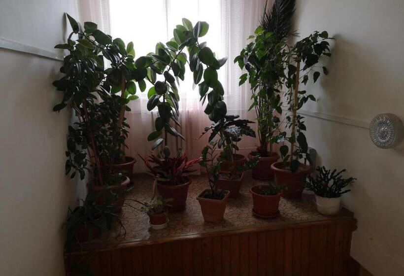 بنسيون Biela Labuť