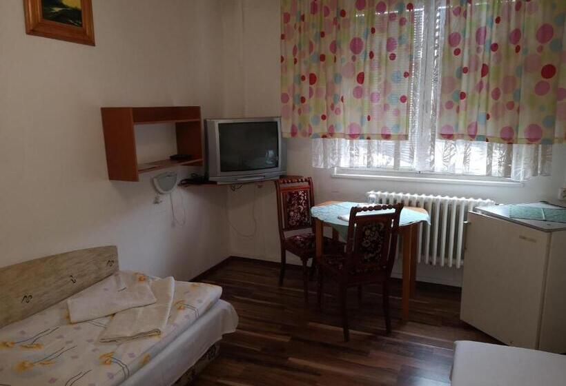 بنسيون Biela Labuť