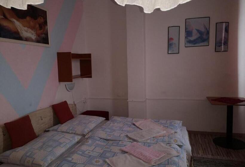 بنسيون Biela Labuť