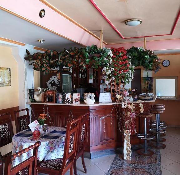 بنسيون Biela Labuť