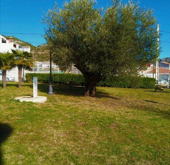 פנסיון Hostal Rural Fidel Garcia Guzman