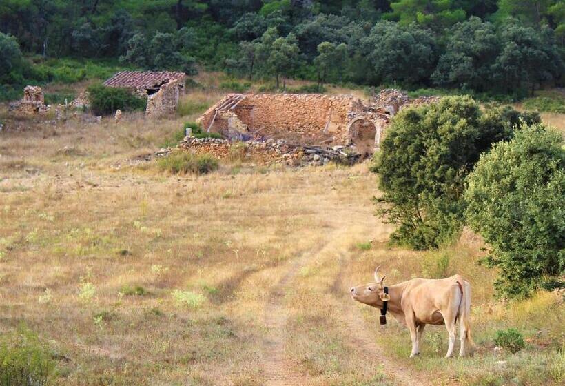 פנסיון Hostal Rural Fidel Garcia Guzman