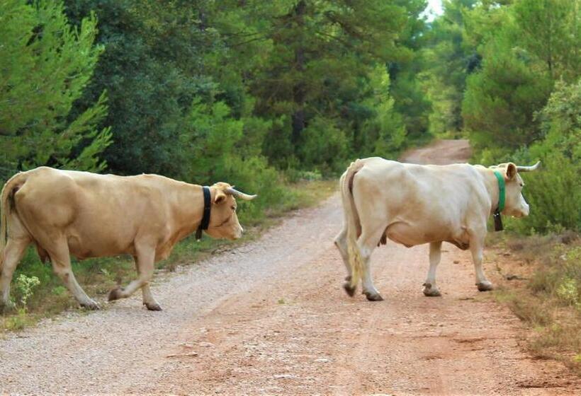 פנסיון Hostal Rural Fidel Garcia Guzman